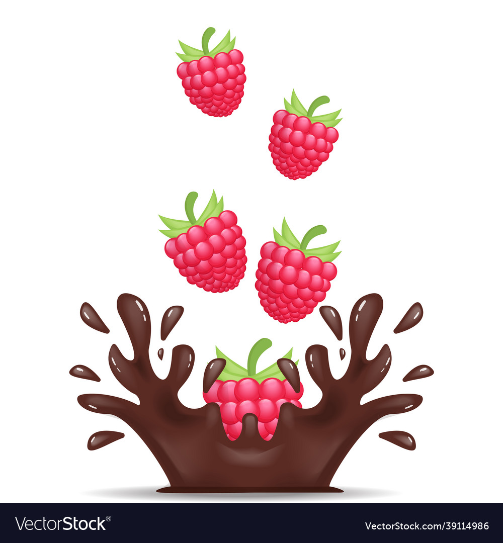 Dropping raspberry make the splash chocolate Vector Image