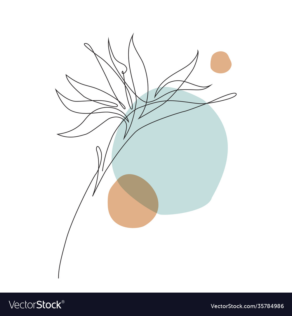 Elegant continuous line drawing minimal art vector image Elegant continuous line drawing minimal art