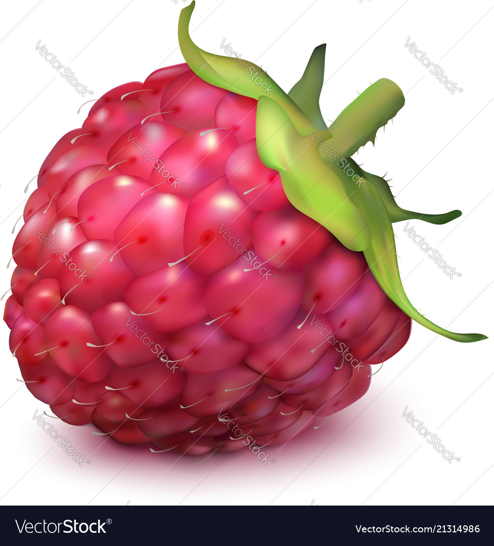 Ripe Raspberries on White Background
