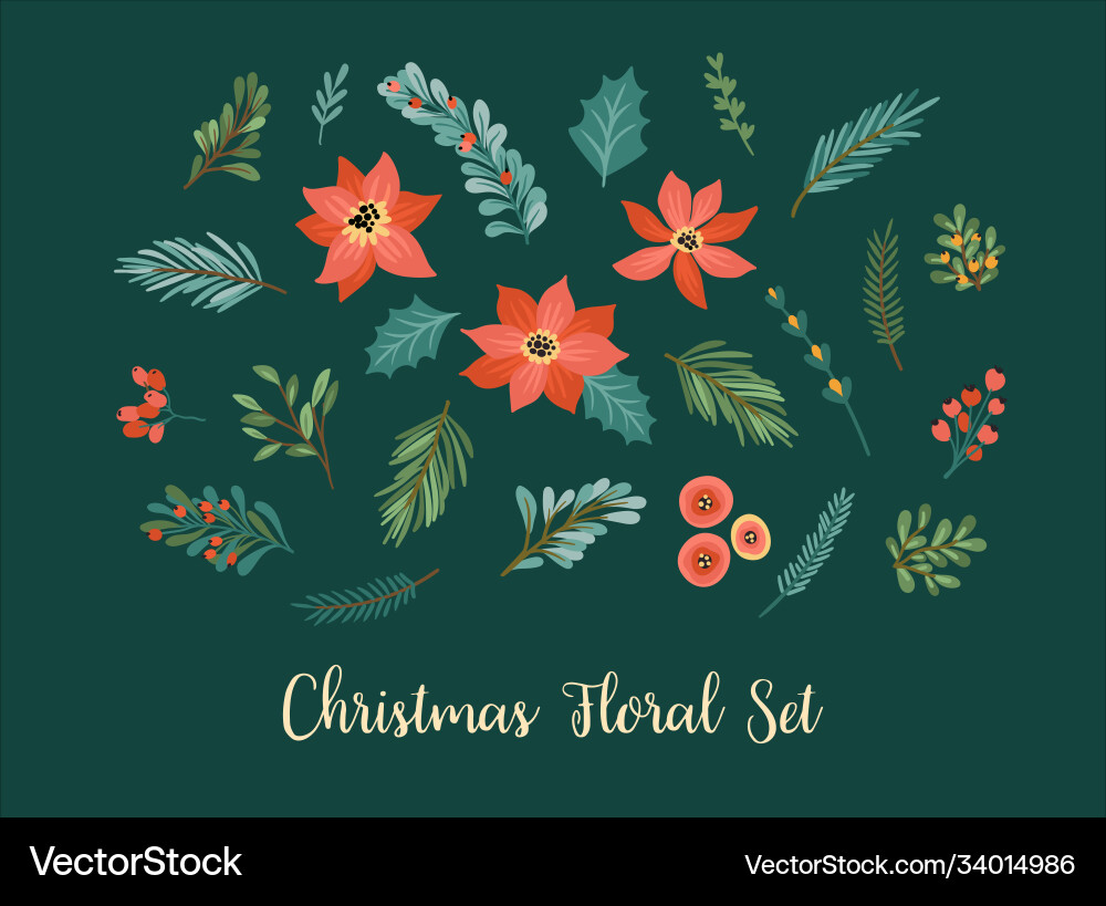 Set christmas floral elements needles Royalty Free Vector