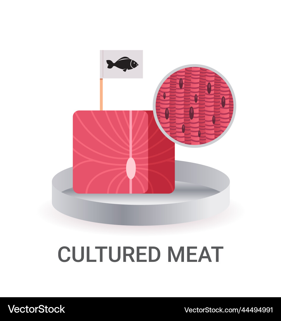 Cultured raw red meat with label made from fish Vector Image