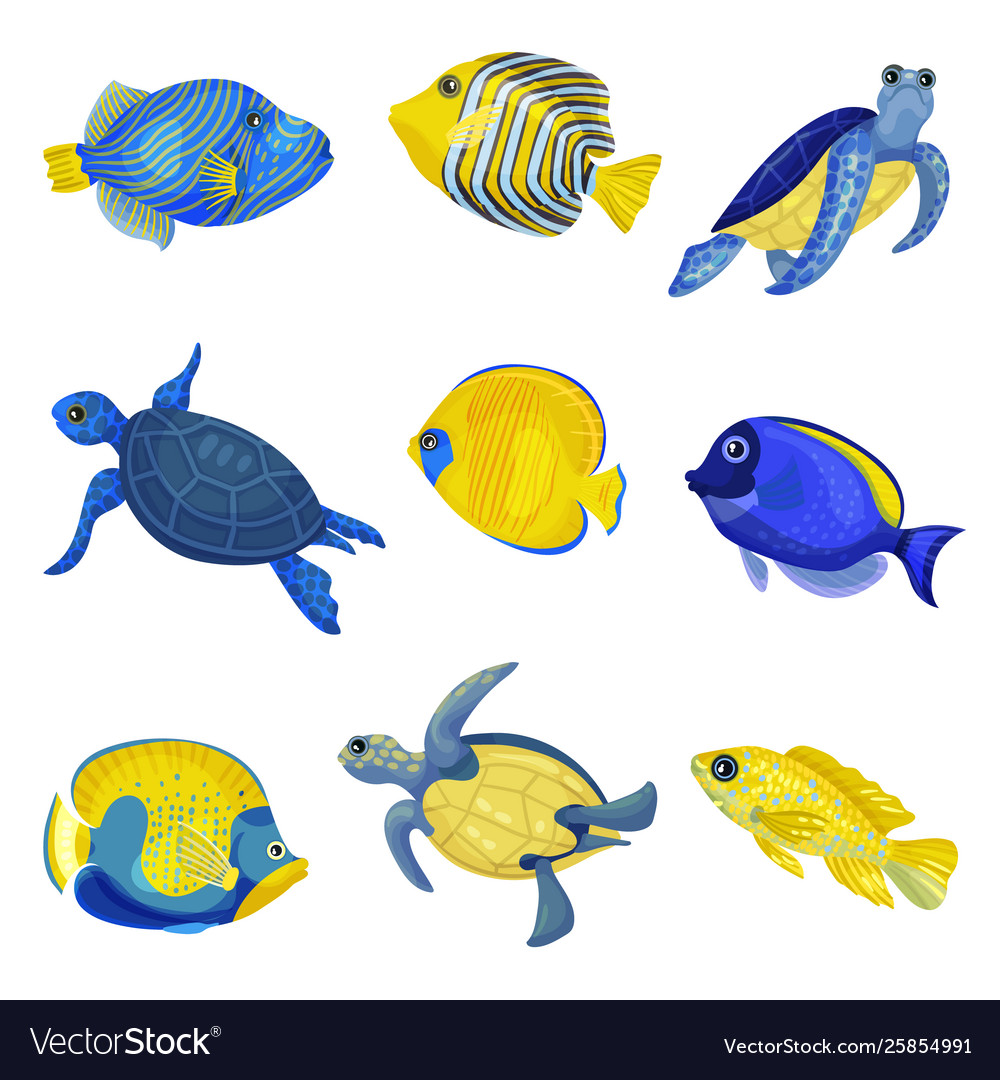 Set different exotic fishes and turtles