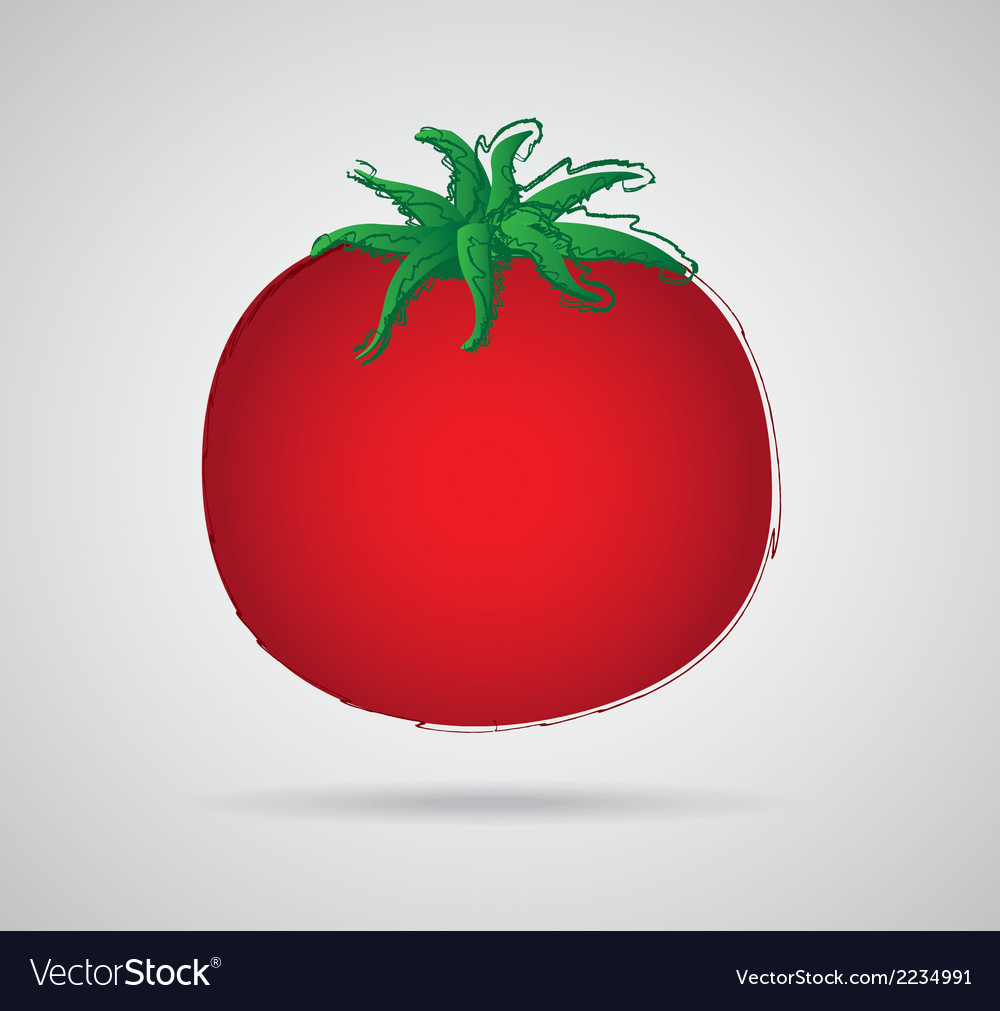 Vegetable design over gray background