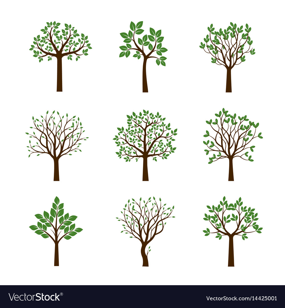 Collection of spring trees Royalty Free Vector Image