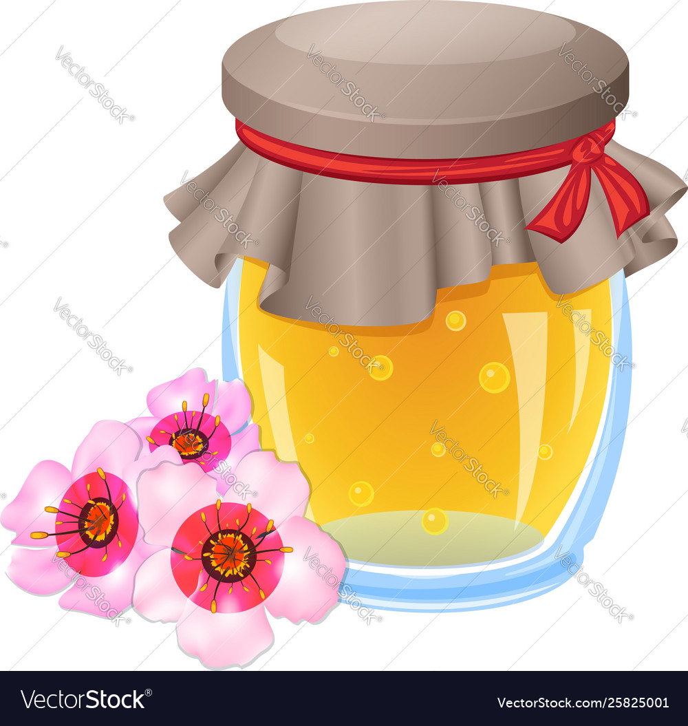 Flower honey jar icon cartoon style Royalty Free Vector