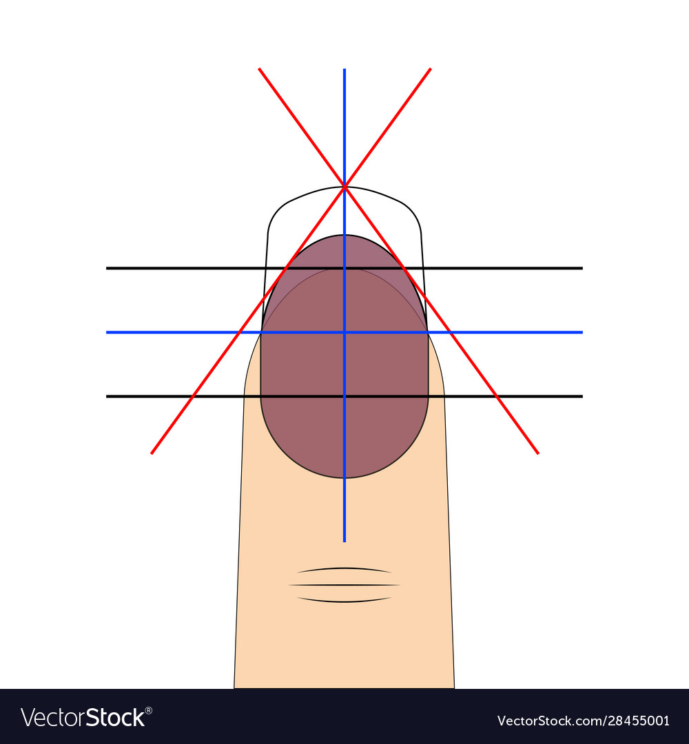 Nail shape drawing diagram template