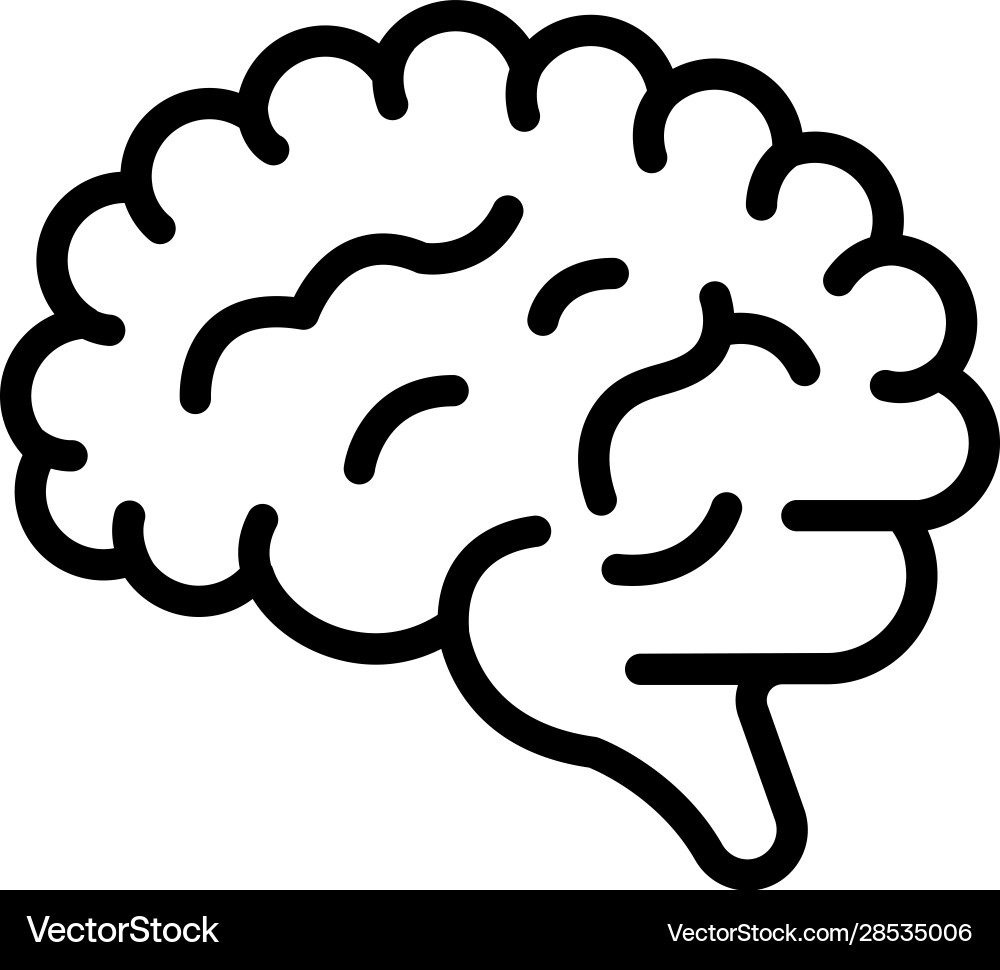 Human brain Royalty Free Vector Image - VectorStock