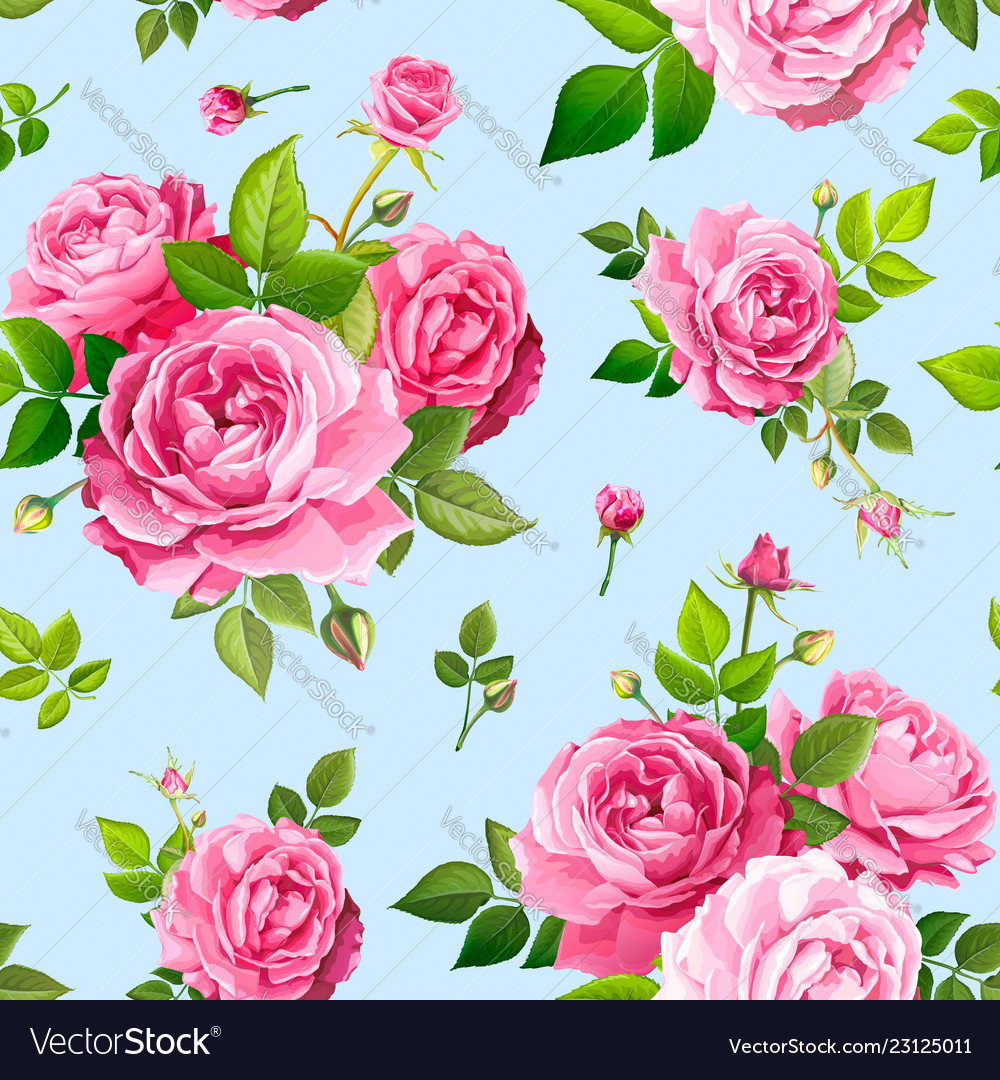 Seamless pattern with rose flowers Royalty Free Vector Image