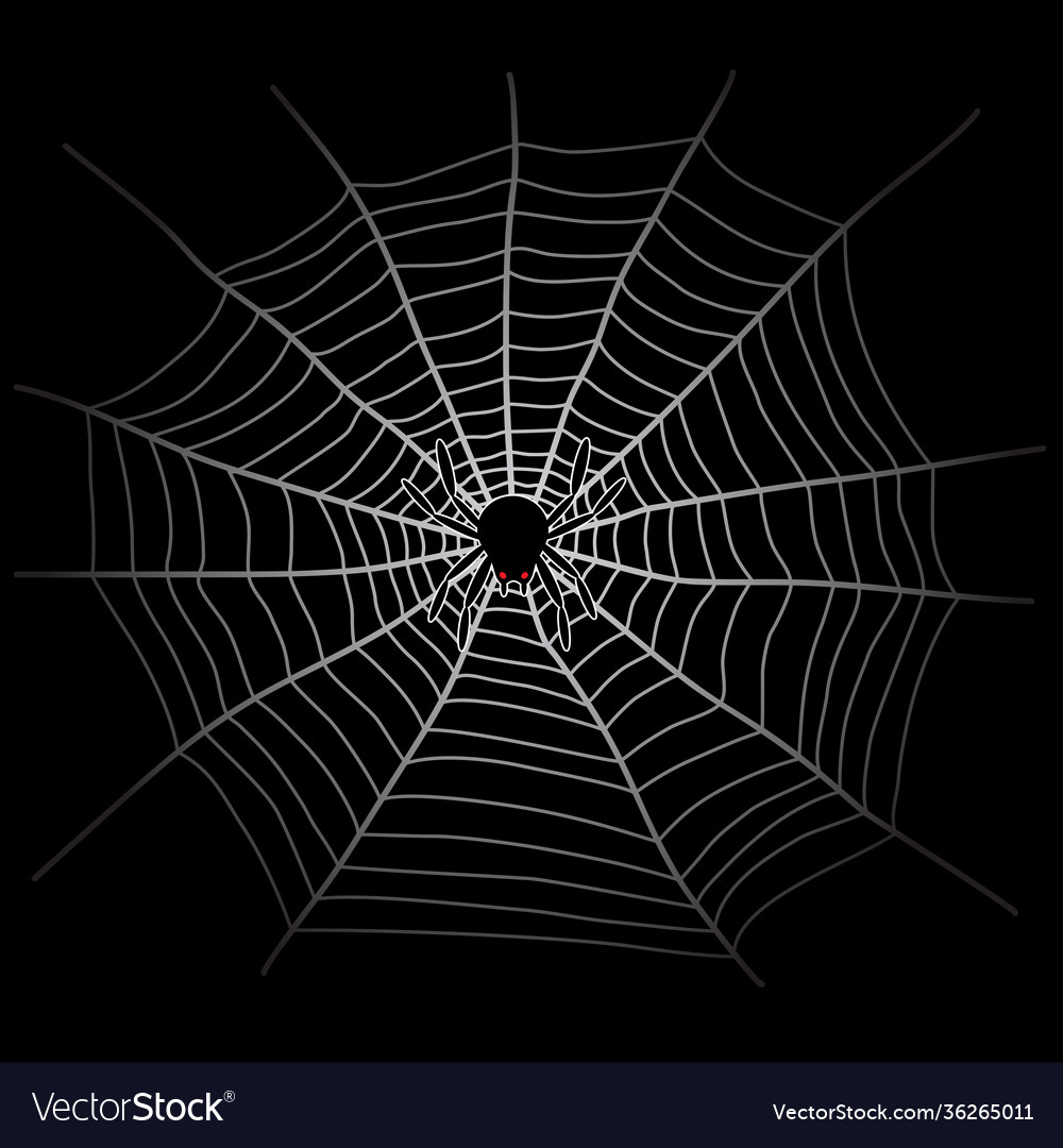 Spider web and in dark Royalty Free Vector Image