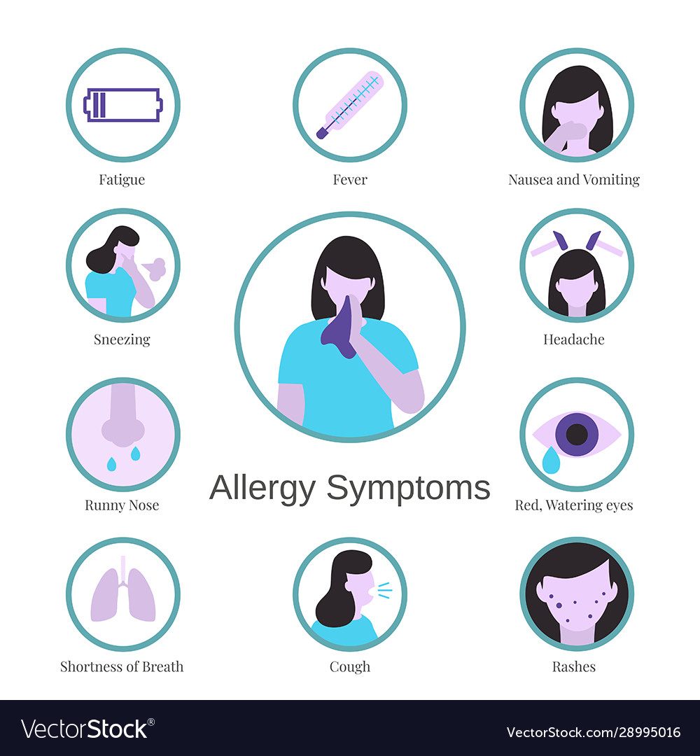 Allergy Symptoms Problem Infographic Royalty Free Vector