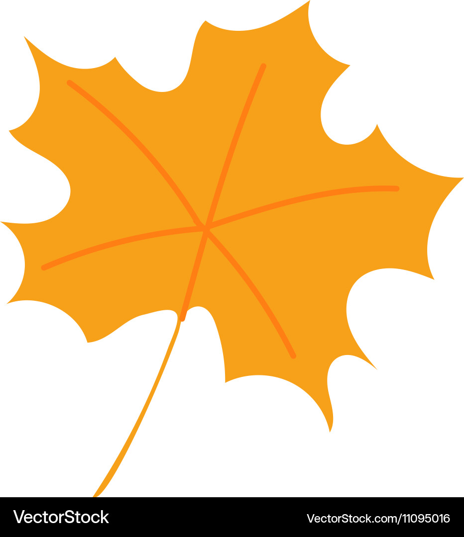 Autumn leaf Royalty Free Vector Image - VectorStock