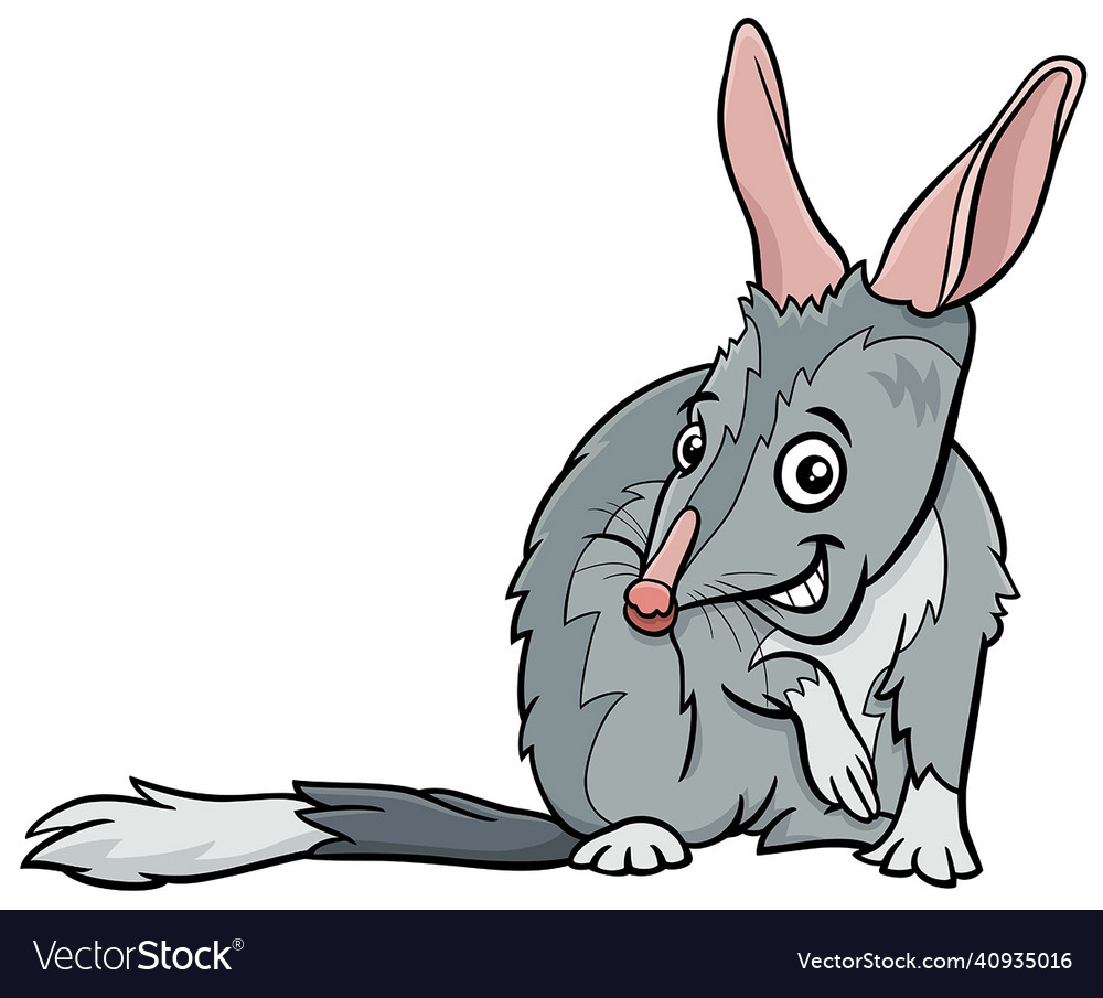 Cartoon bilby or macrotis comic animal character Vector Image