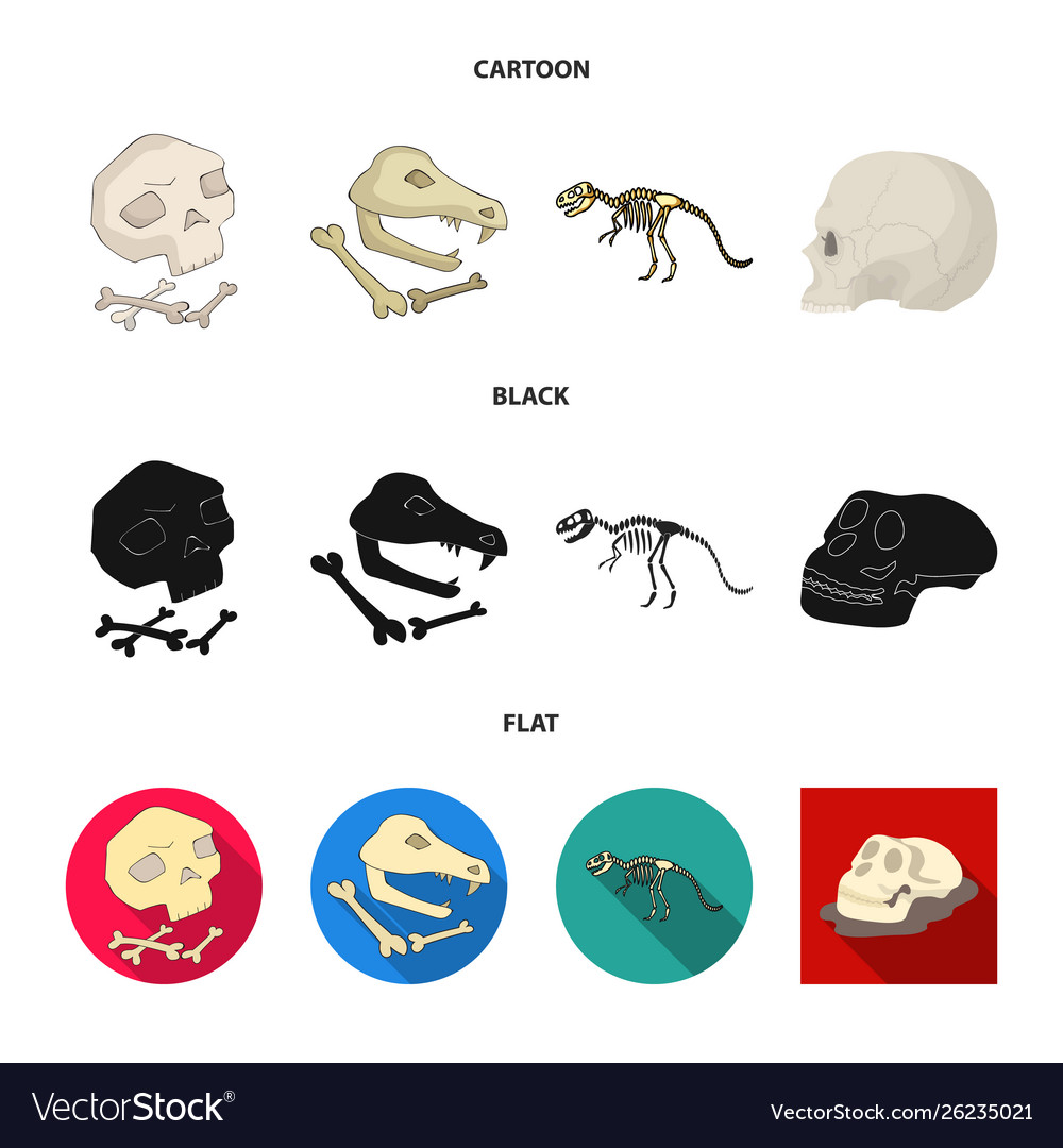 Design skeleton and character icon set