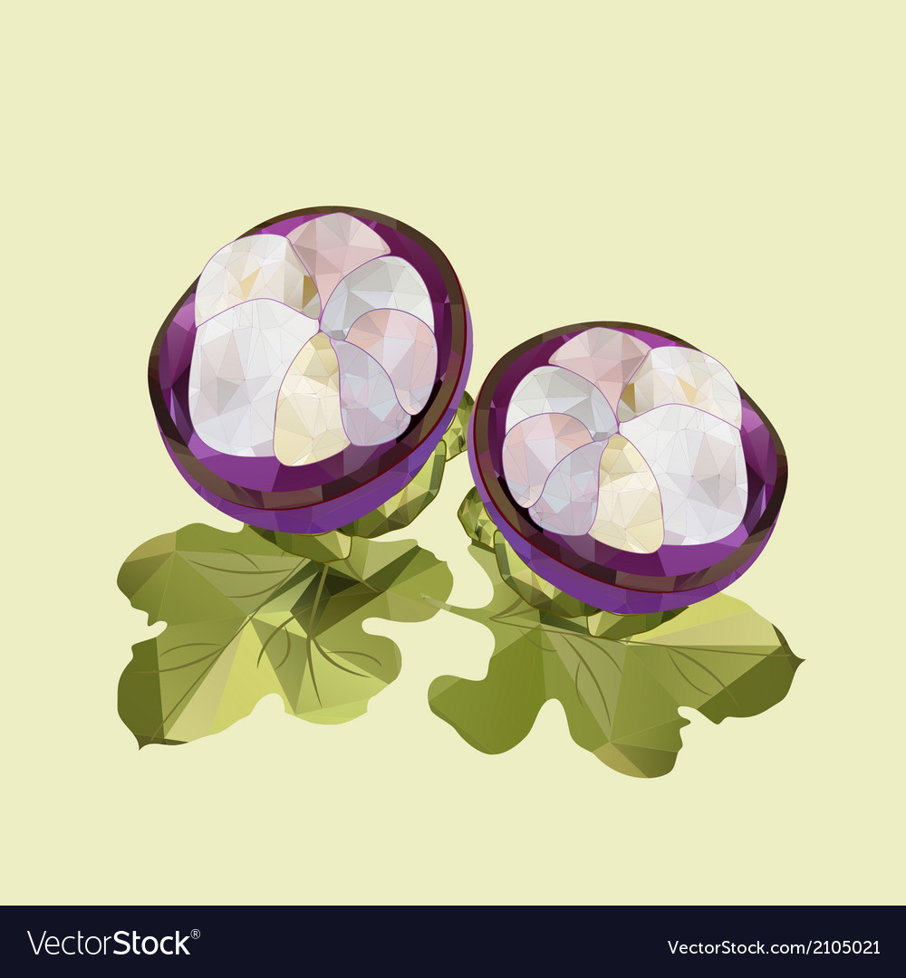 Polygonal half mangosteen