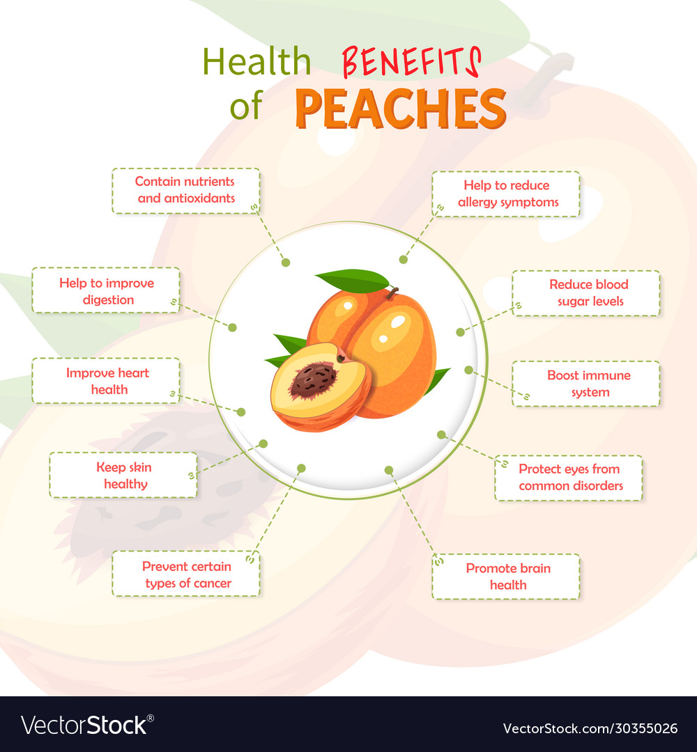 Peaches Guide: Nutrition, Benefits, Side Effects, and More