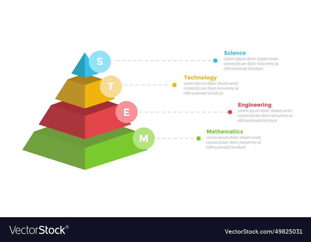 Stem education infographics template diagram