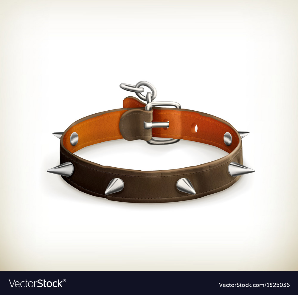 Dog collar Royalty Free Vector Image VectorStock