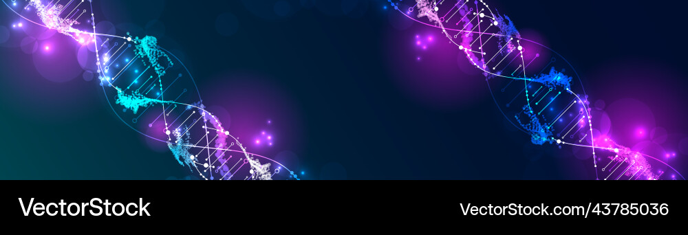 Science template wallpaper or banner with a dna Vector Image