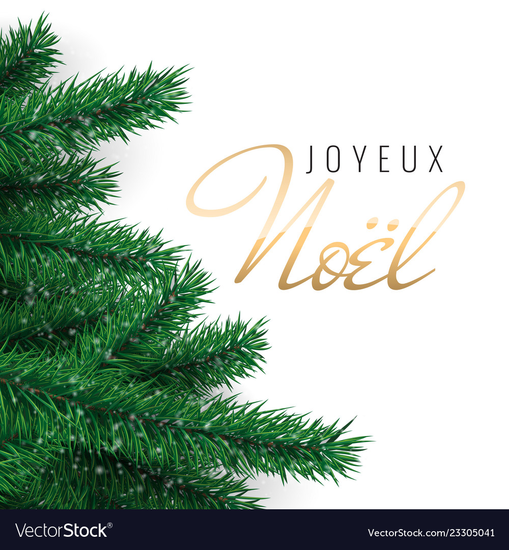 French text joyeux noel merry christmas greeting