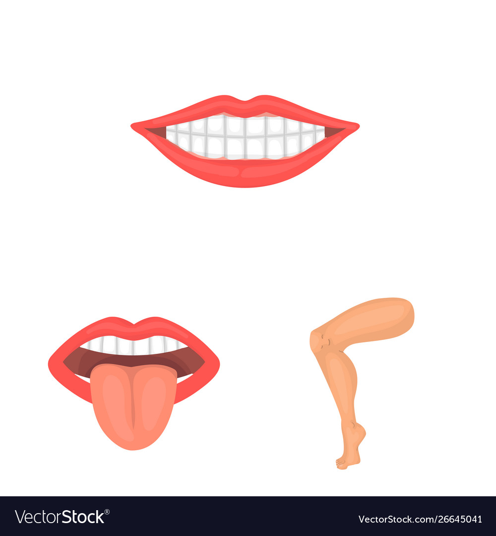 Isolated object body and part logo set