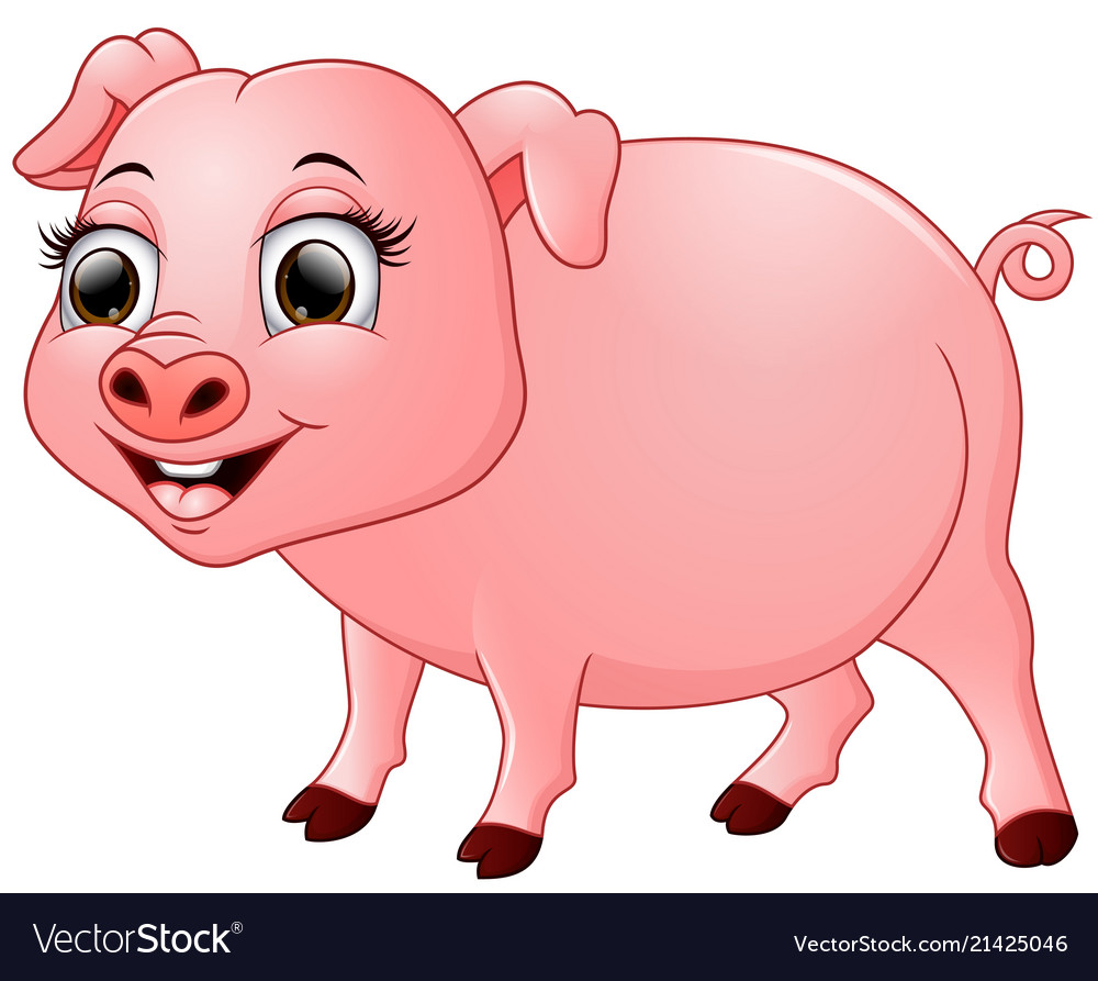 Cute baby pig cartoon isolated on white background