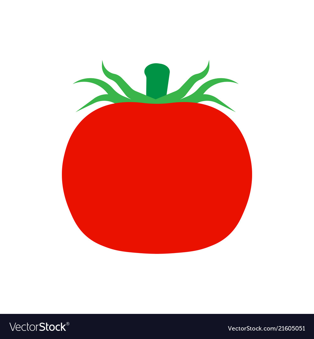 Tomato vegetarian natural isolated harvest Vector Image