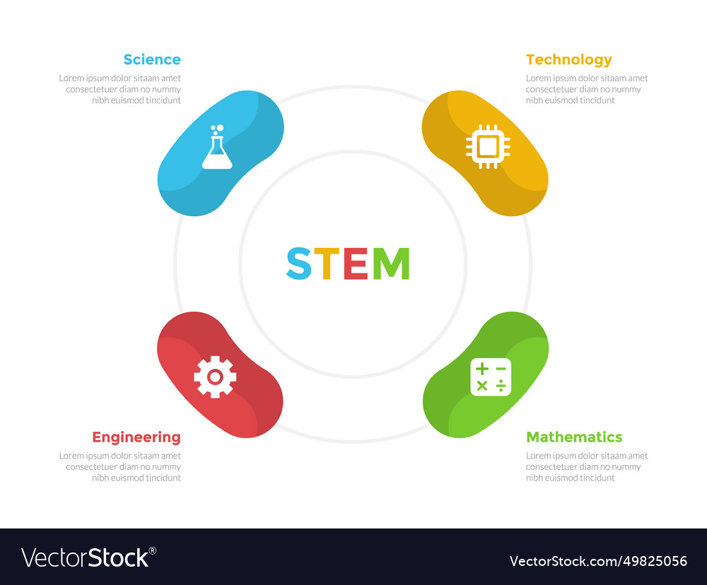 Stem education infographics template diagram with Vector Image