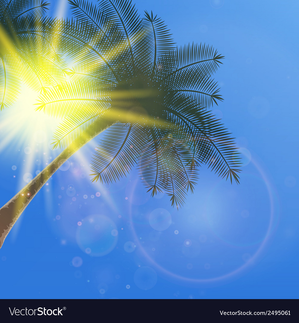 Blue sky with summer sun burst background