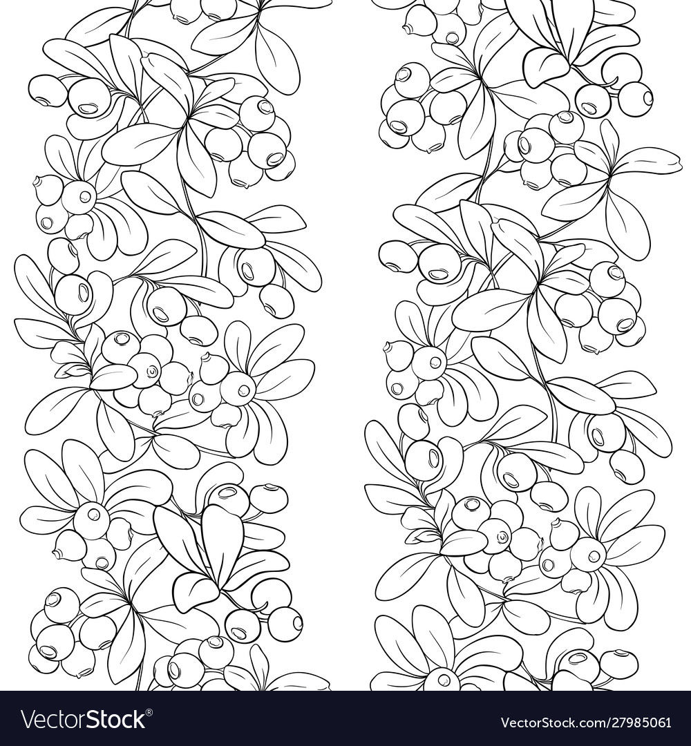 Cranberry nahtloses Muster vector image Cranberry nahtloses Muster