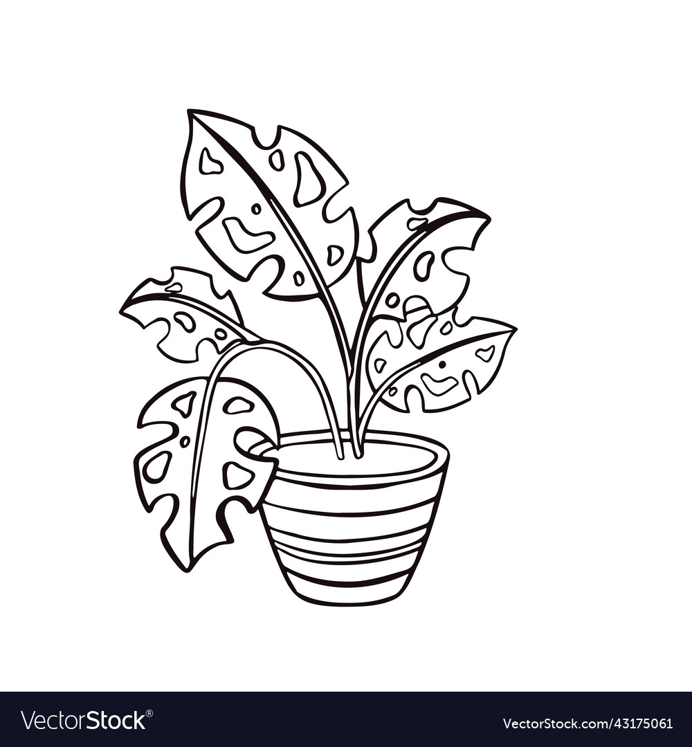 Home plant for interior outline Royalty Free Vector Image