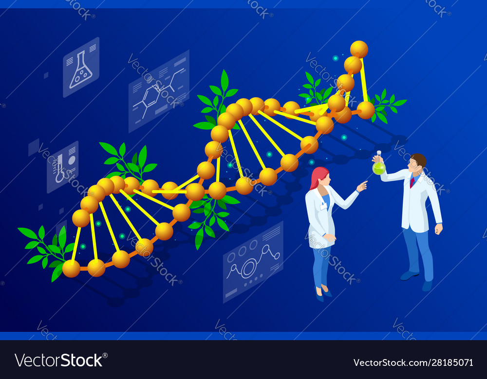 Isometric Concept Laboratory Exploring New Vector Image