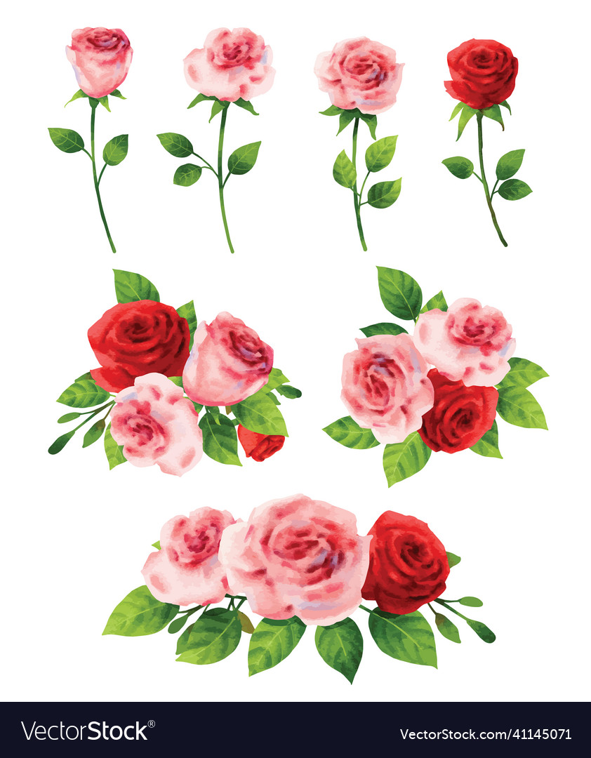 Pink rose flower set for valentines day Royalty Free Vector