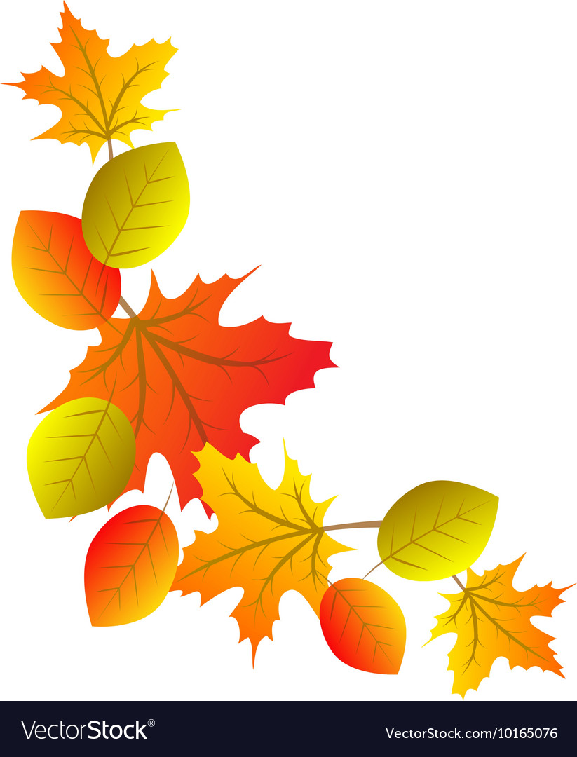 Autumn colorful leaves Royalty Free Vector Image