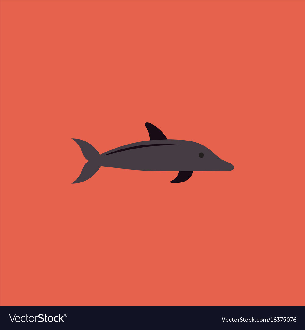 Dolphin delphinus delphis