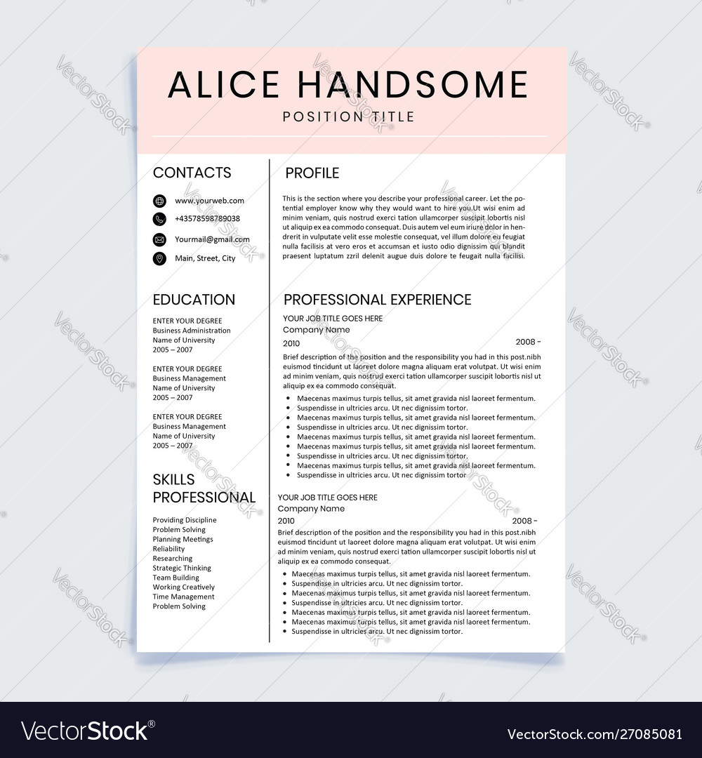 professional resume template simple layout lay out of a resume