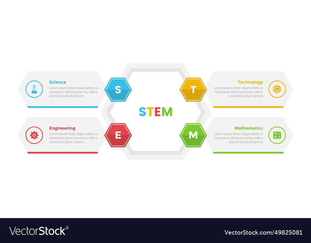 Stem education infographics template diagram with Vector Image