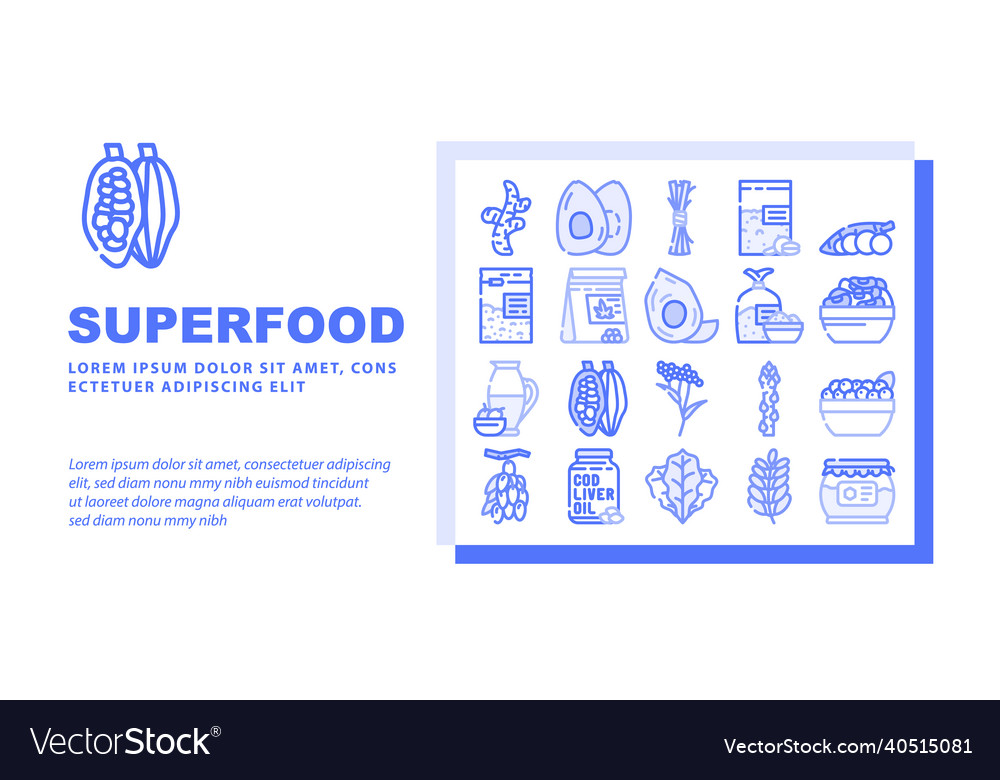 Superfood natural and vitamin landing header vector image Superfood natural and vitamin landing header