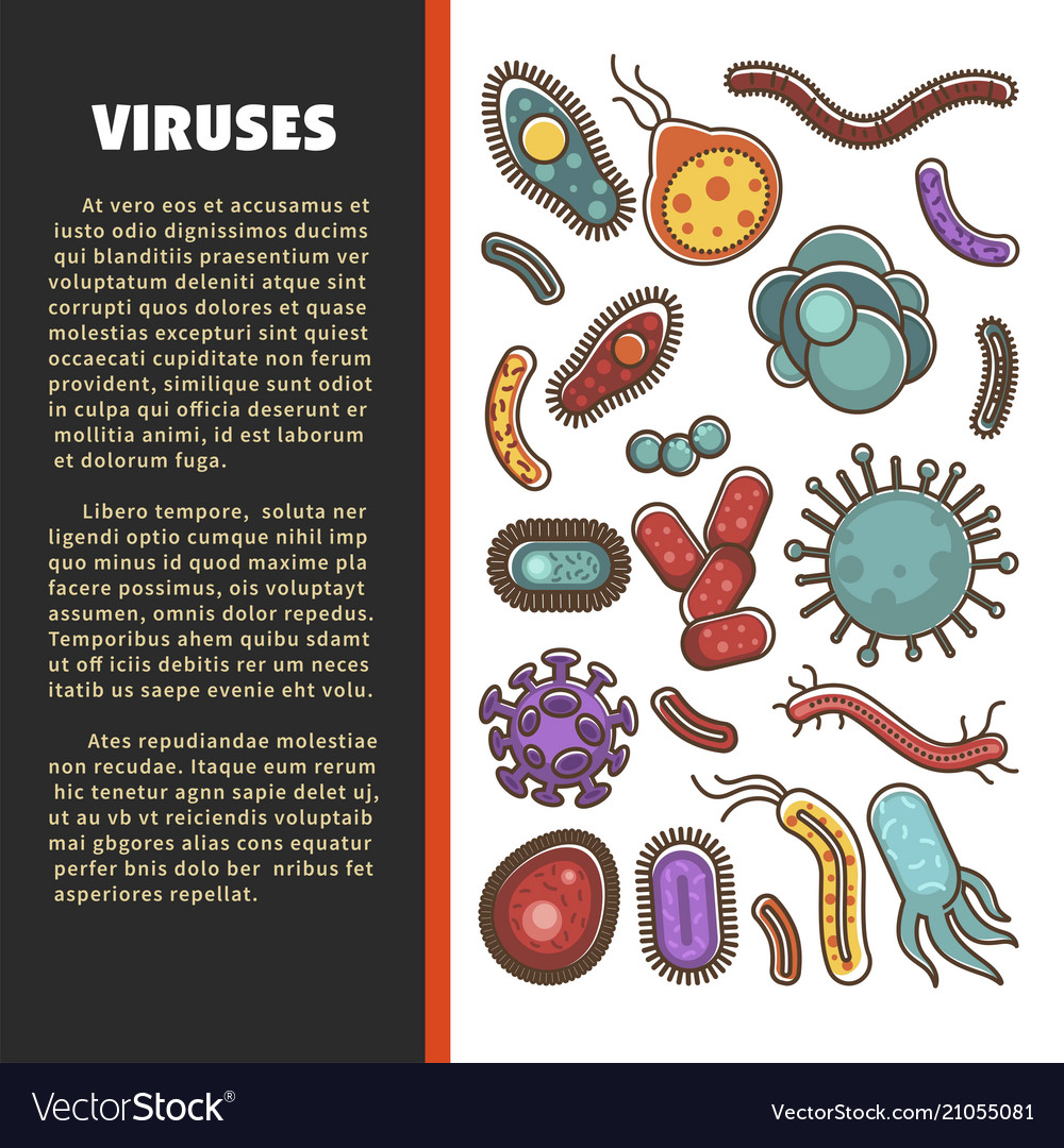 Viruses, Free Full-Text