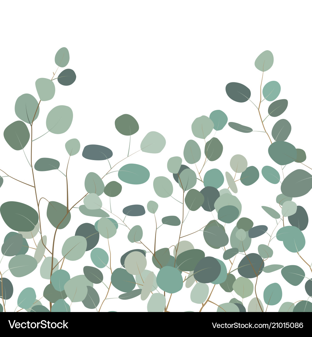 Seamless pattern with eucalyptus hand painted Vector Image