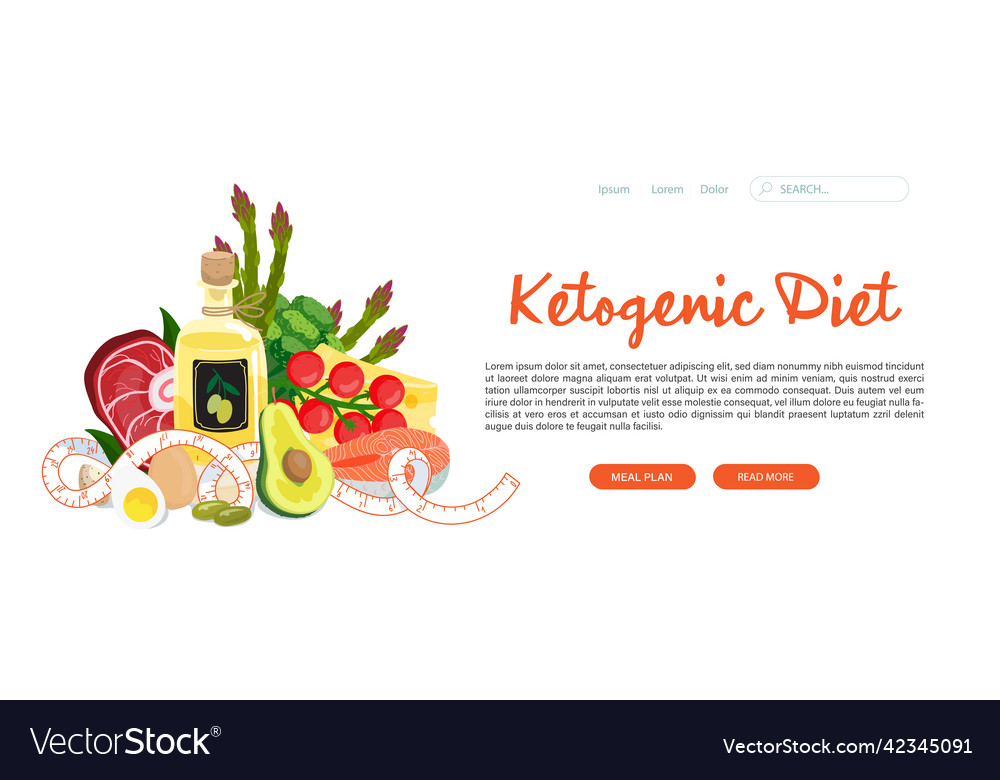 Ketogenic diet web banner template basic keto Vector Image