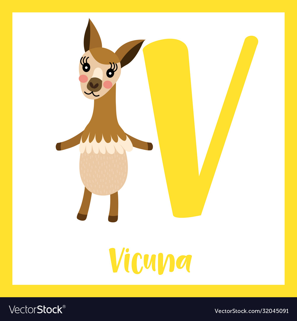 Letter v vocabulary vicuna standing on two legs Vector Image Letter v vocabulary vicuna standing on two legs Vector Image