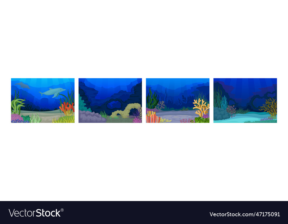 Underwater bottom view with algae and sea weeds vector image Underwater bottom view with algae and sea weeds