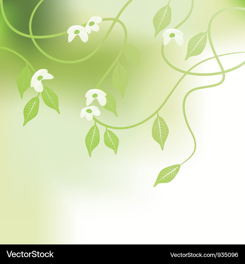 Leaves spring - background Royalty Free Vector Image