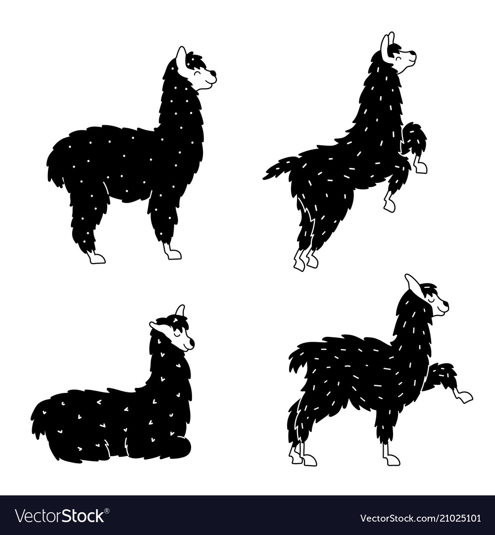 Cute Llama Collection