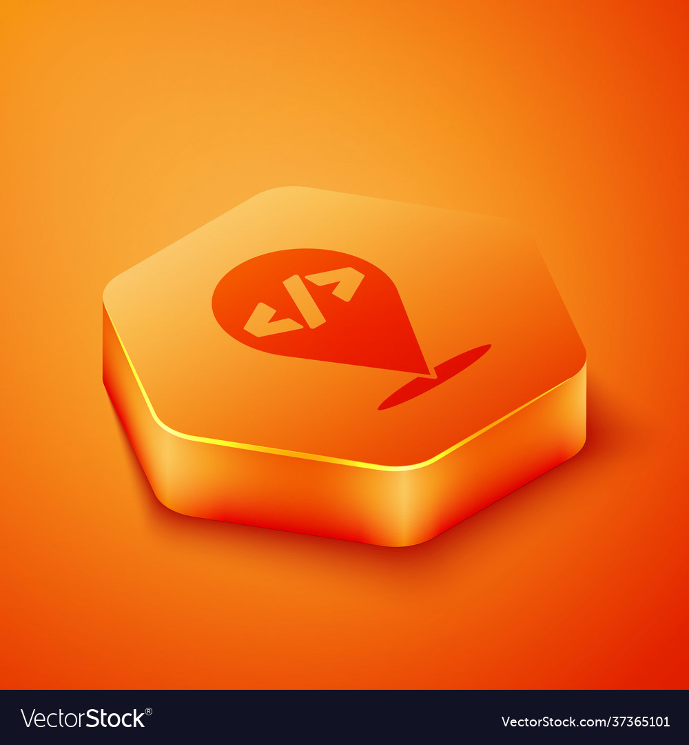 Isometric web design and front end development vector image Isometric web design and front end development
