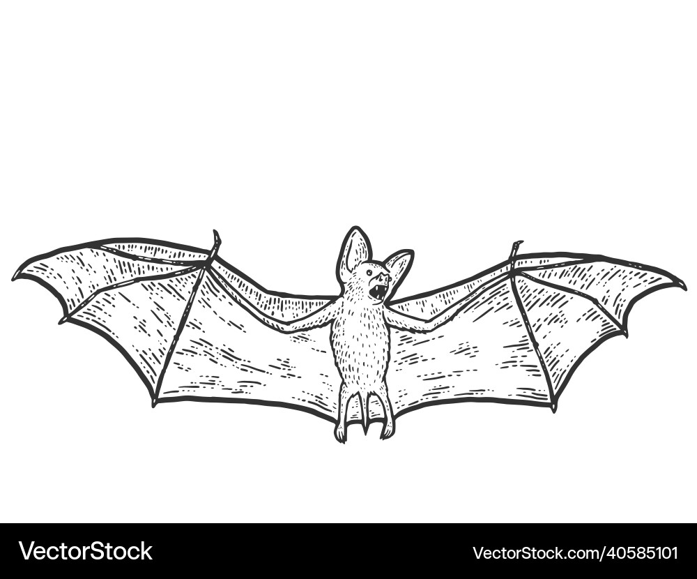Microbat Names