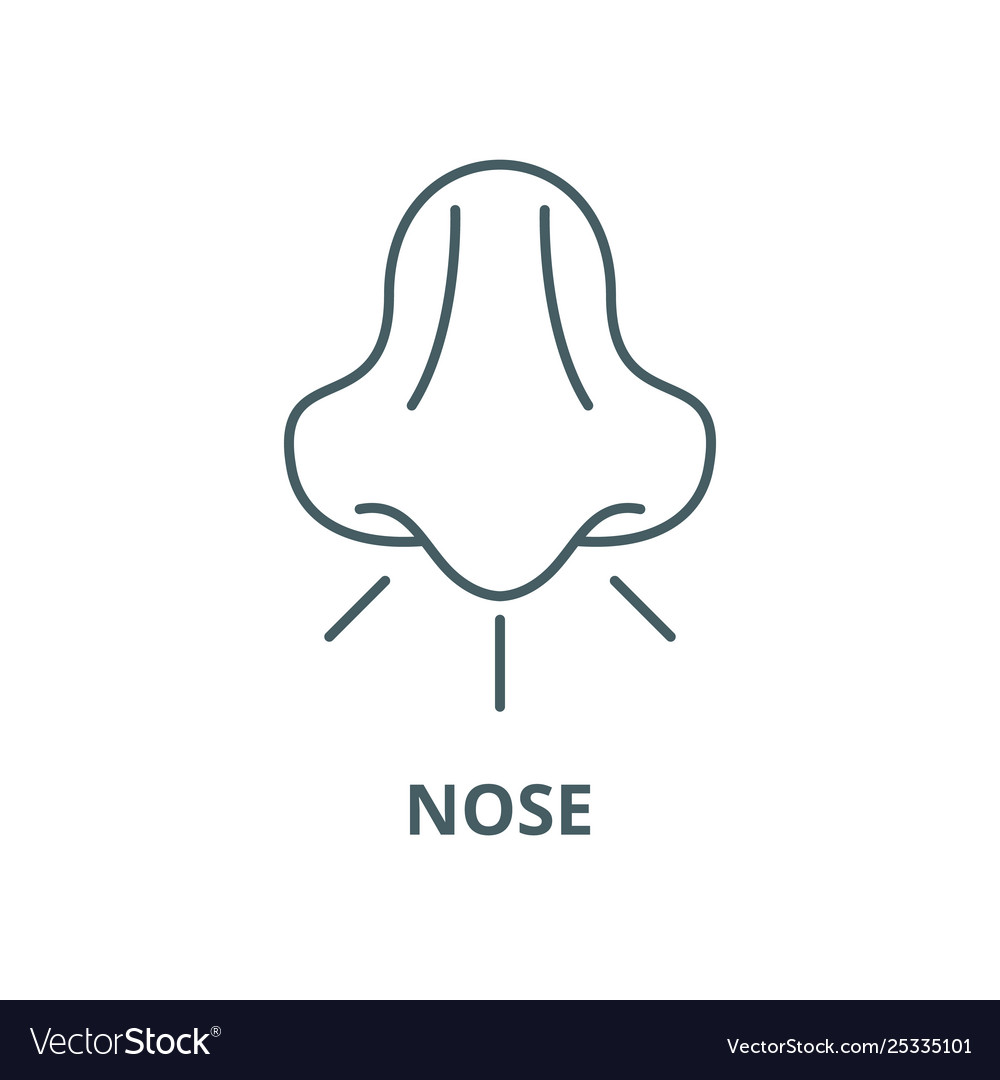 Nose line icon linear concept outline