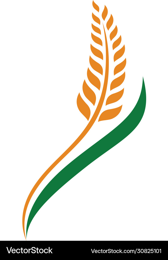 Wheat grain and wheat rice logo inspiration Vector Image
