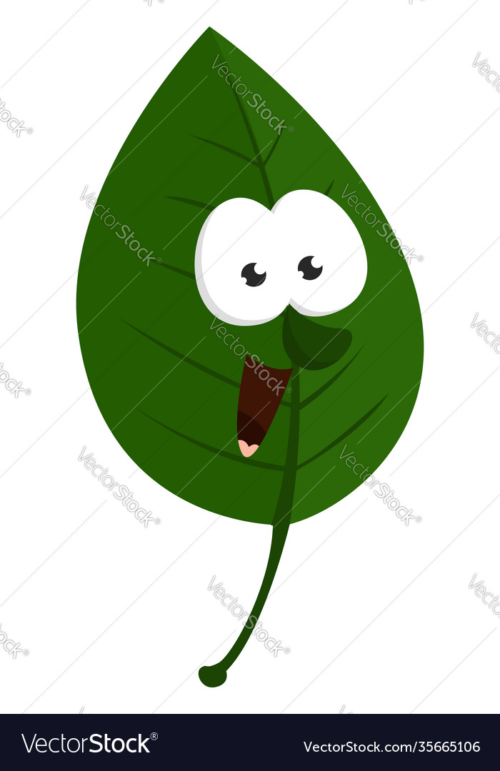 Leaf with a face on a white background Royalty Free Vector