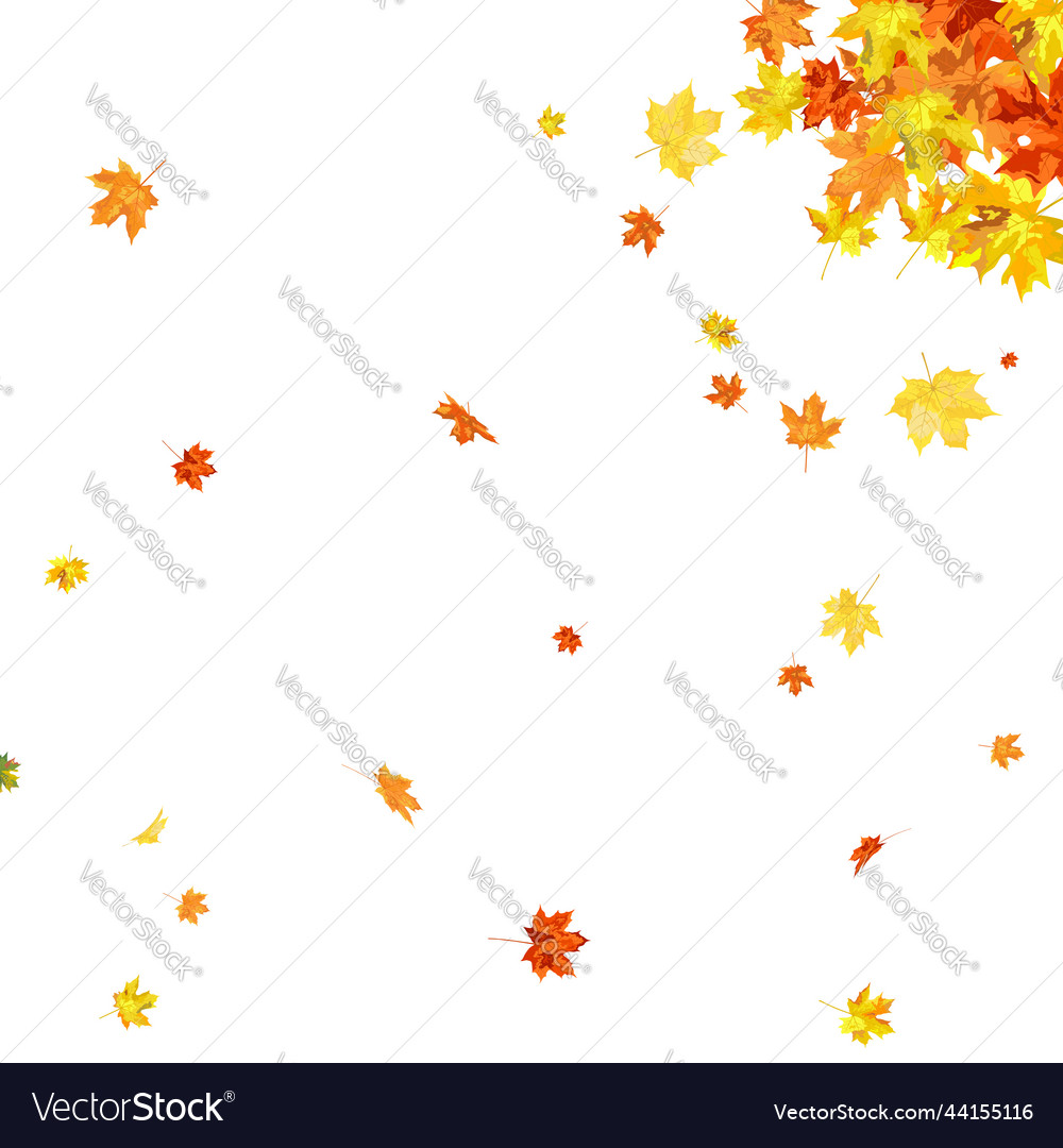 Autumn maple frame vector image Autumn maple frame